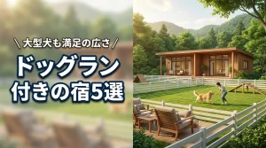 ドッグラン付きの宿5選！大型犬も満足する広さや屋内・屋外施設の選び方をプロが解説