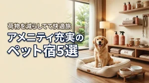 ペットのアメニティが充実した宿5選！荷物を減らして愛犬と快適な旅行を楽しむ方法